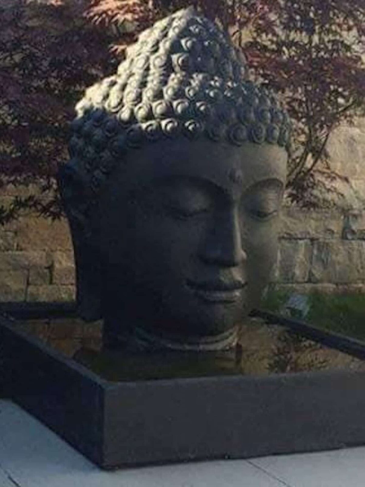 Fontaine de Jardin Tête de Bouddha 100cm avec Bassin Rond ou Carré Grossiste, Importateur, Fournisseur Architecte Paysagiste pépinière Jardinerie Pisciniste