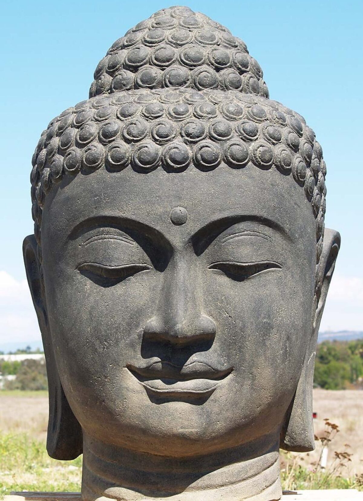 Fontaine de Jardin Tête de Bouddha 100cm avec Bassin Rond ou Carré Grossiste, Importateur, Fournisseur Architecte Paysagiste pépinière Jardinerie Pisciniste
