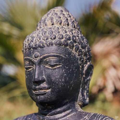 statue bouddha extérieur buste visage tête noir bouddhiste 40cm grossiste statue de jardin