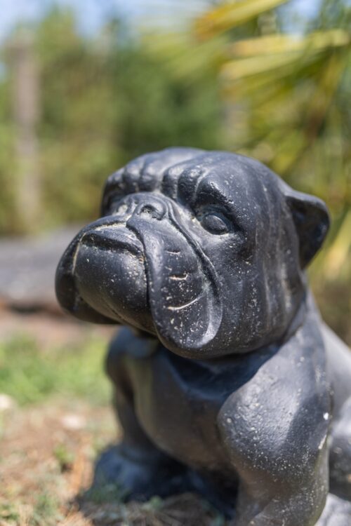 statue de jardin bulldog en pierre noir 41cm 4