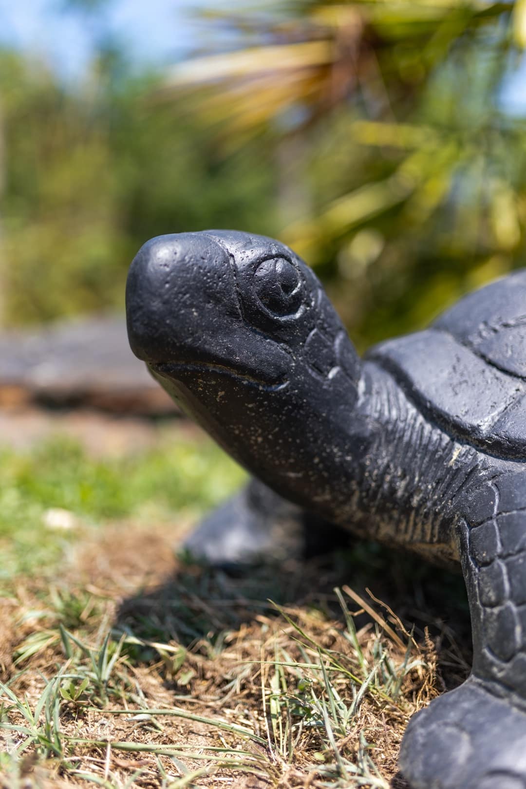 statue de jardin tortue de terre 60cm pierre noir 3 2