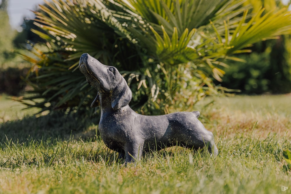 statue teckel chien dachshund extérieur jardin pierre noir 40cm grossiste statue de jardin