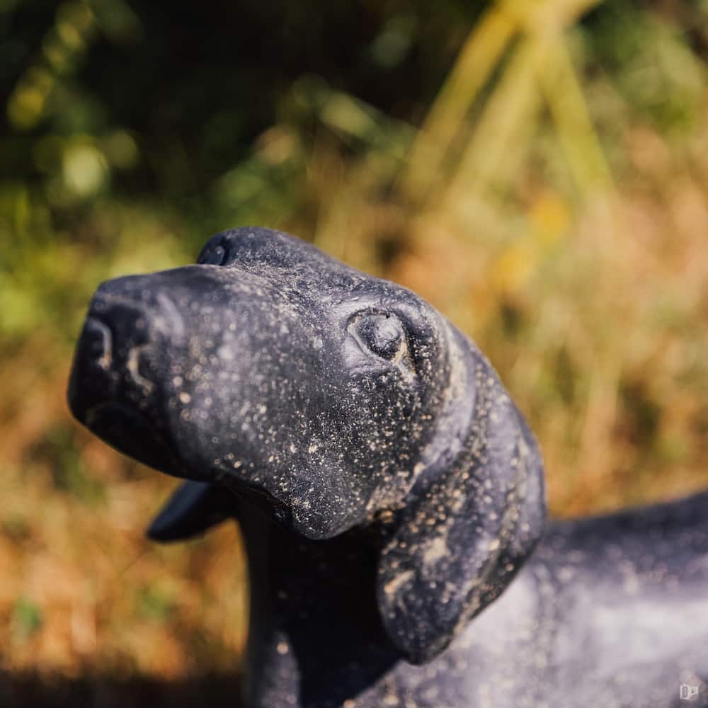 statue teckel chien dachshund extérieur déco jardin pierre noir 40cm grossiste statue de jardin