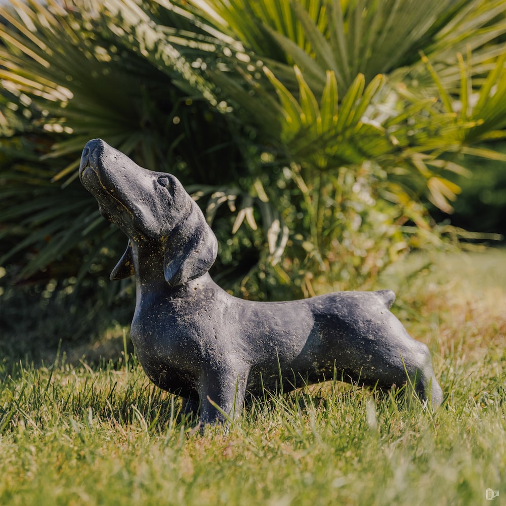 statue teckel chien dachshund extérieur jardin terrace pierre noir 40cm grossiste statue de jardin