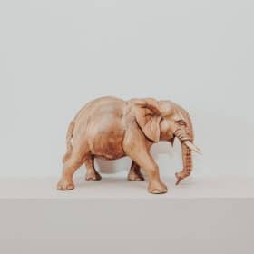 Deko-Statue Elefant aus Massivholz 20 cm