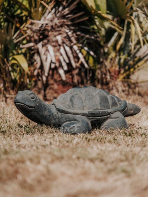 statue de jardin tortue extérieur en pierre naturelle noir antique largeur 60cm