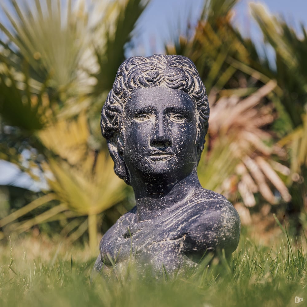 statue de jardin visage extérieur intérieur buste de david noir 30cm grossiste statue de jardin