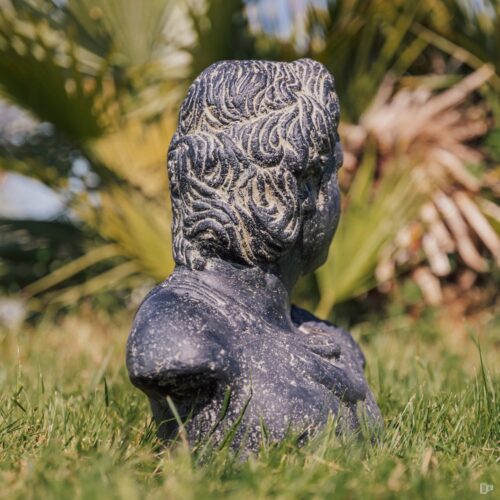 statue de jardin extérieur intérieur tête buste de david noir 30cm grossiste statue de jardin