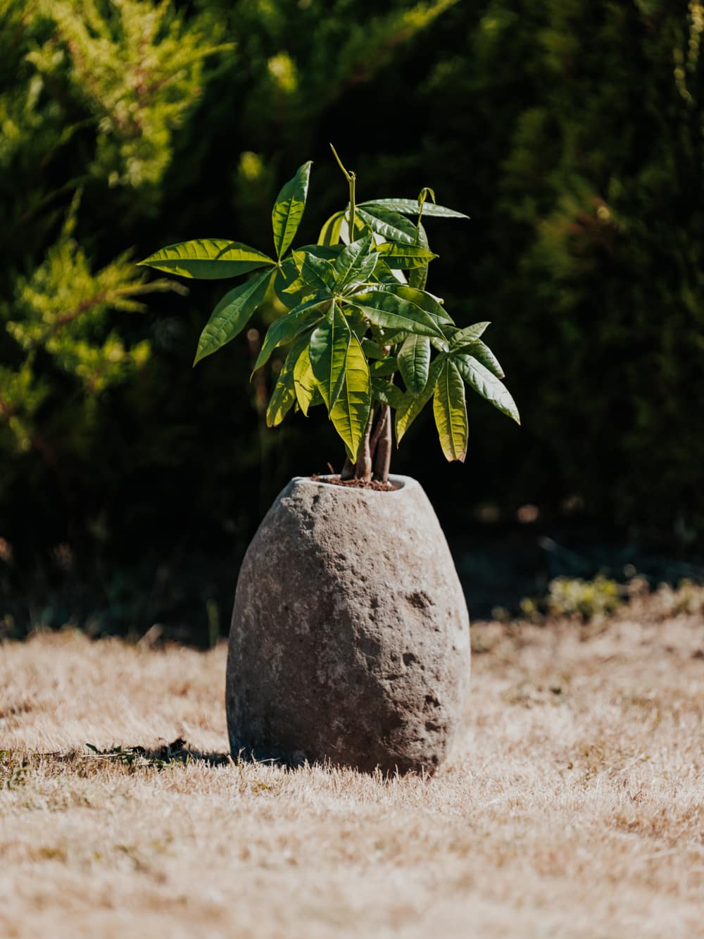 vase pot plante jardinière en pierre de rivière naturelle hauteur 35cm 45cm grossiste décoration jardin