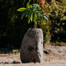 Vase Plante Jardinière en Pierre de Rivière Naturelle 17/20/30cm