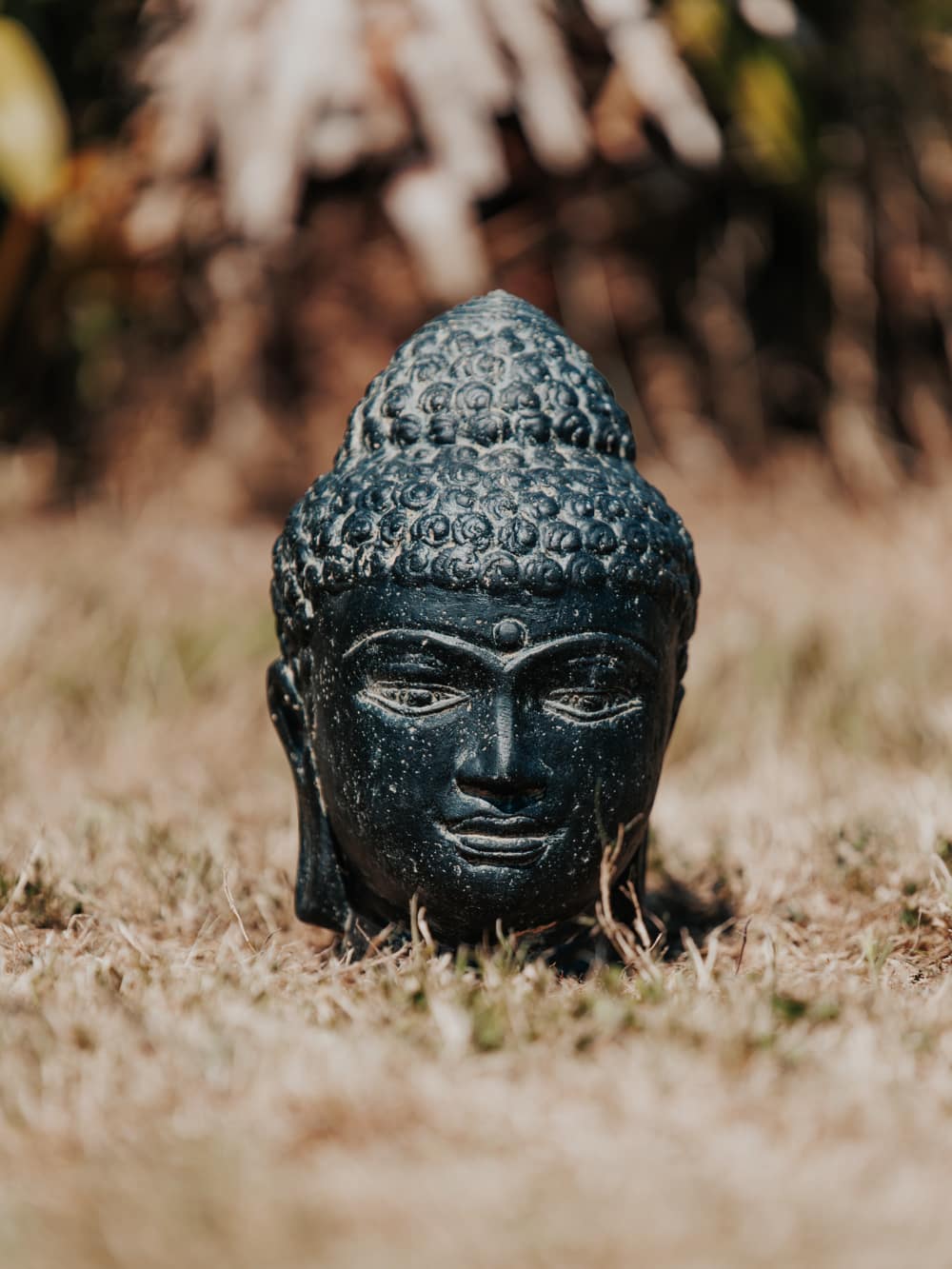 statue de jardin tête de bouddha noir 10cm intérieur grossiste statue de jardin