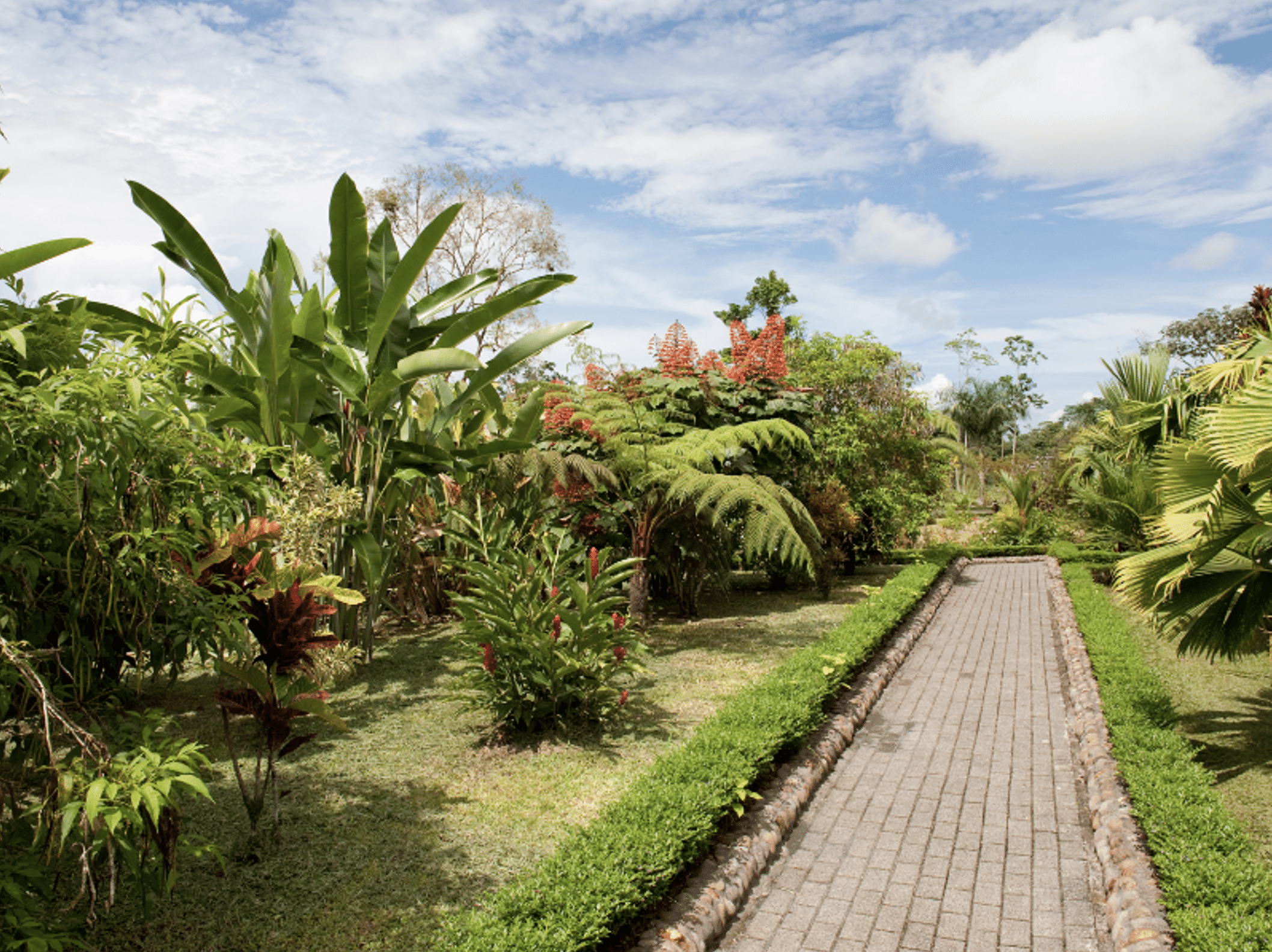 chemin d'nu jardin exotique