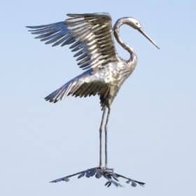 sculpture héron cigogne grande ailes en acier inoxydable 110cm oiseau